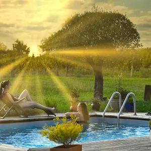  Vakantiehuis Gite Les Vignes Frankrijk